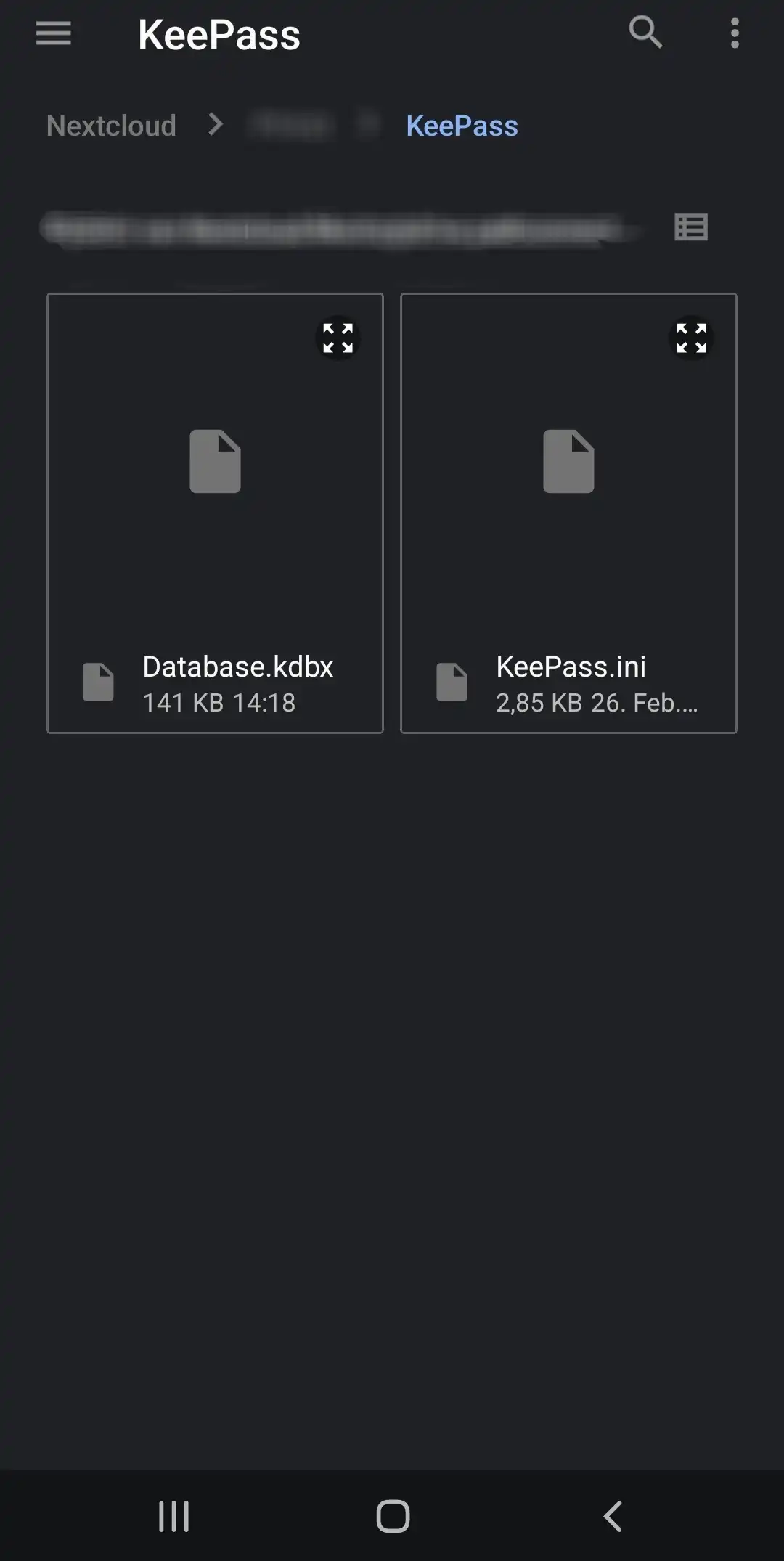 KeePassDX - Dateiauswahl